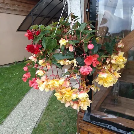 Vysoke Tatry Gerlaska *